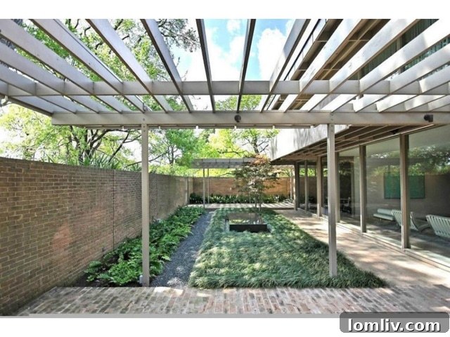 featured 480714