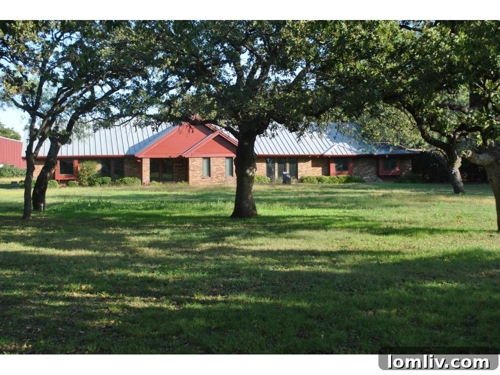 featured 481353