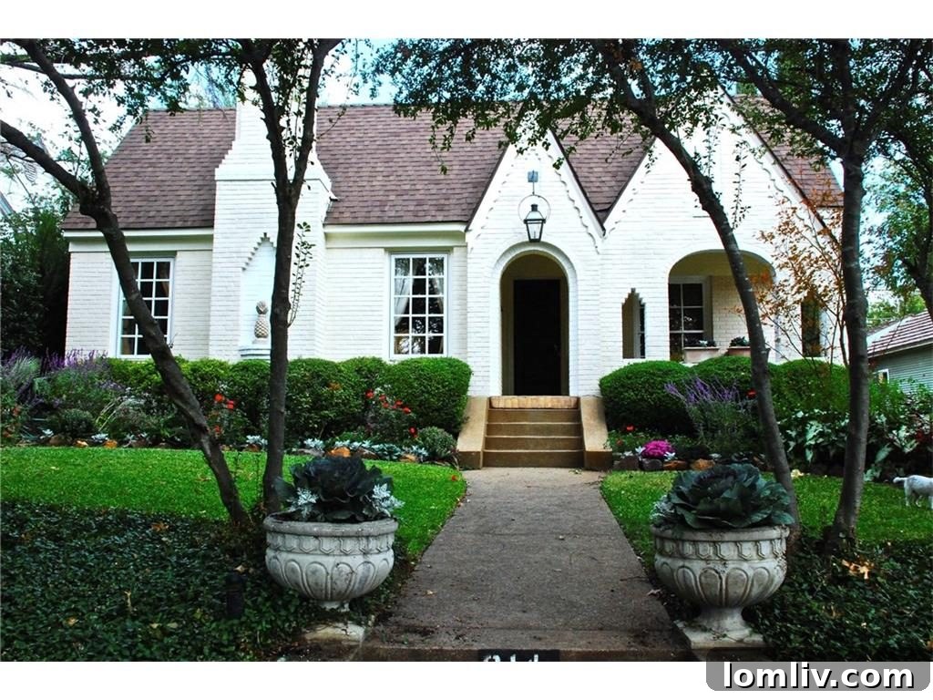 featured 505305