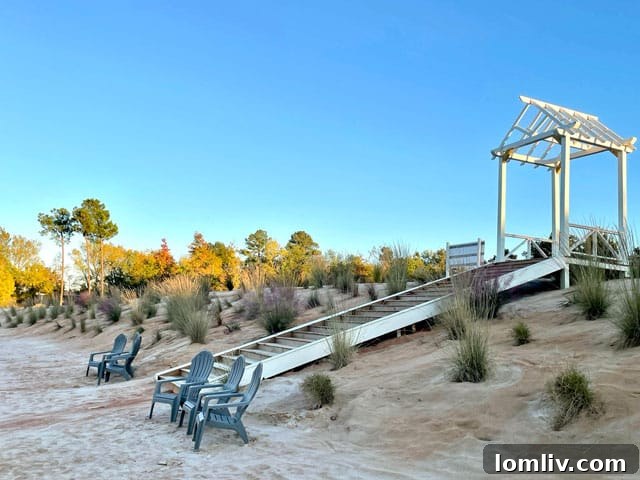Exclusive Founders Club and Resort Amenities at High Hill Development