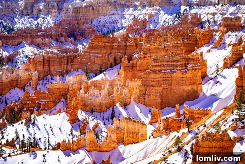 Bryce Canyon National Park in winter with snow-dusted hoodoos