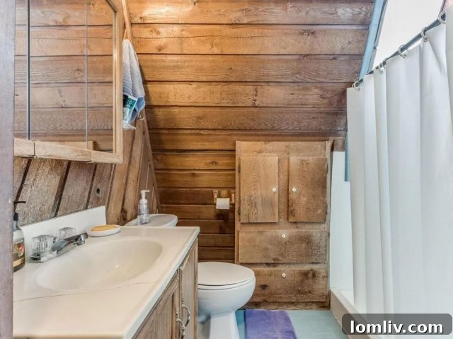 The single bathroom in the Oklahoma A-frame, located on the second floor and accessible via ladder.