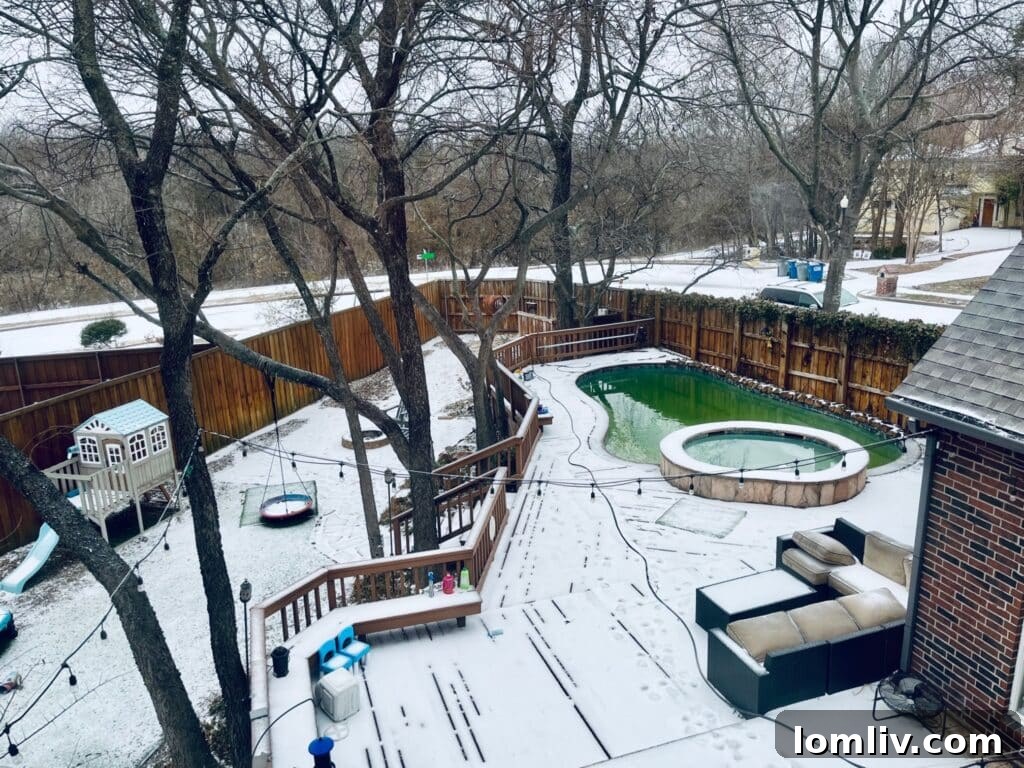 my house during the freeze