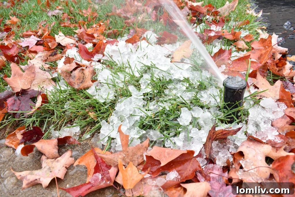 sprinkler system running during the freeze