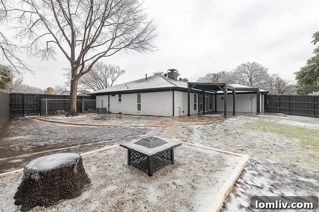 The vast and well-maintained backyard of the Plano home, showcasing ample green space and paved pathways.
