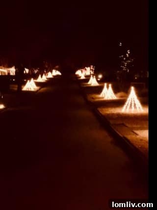 Merriman Park Estates lit trees during holidays