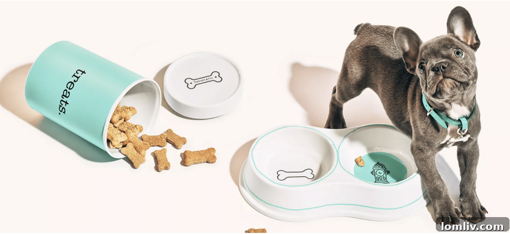 A selection of elegant pet accessories from Tiffany's, reflecting the brand's signature luxury in pet essentials.