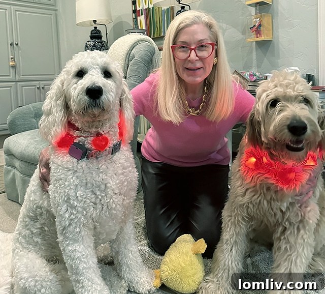 Our publisher, Candy Evans, with her two impeccably groomed and pampered Dallas pups, exemplifying the bond between owners and their cherished dogs.