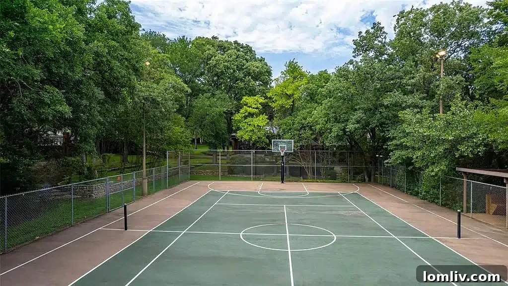 Tennis and basketball court at a luxury estate in Arlington