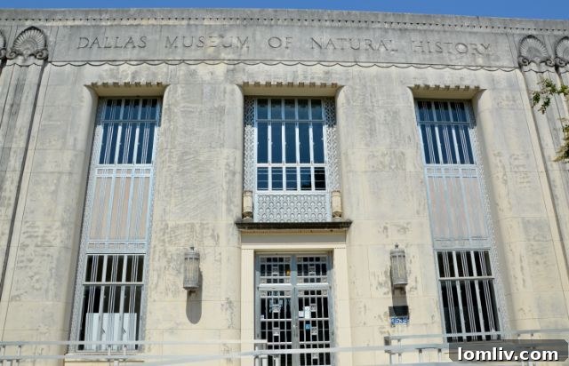 Fair Park Museum of Natural History Building, a historic Art Deco structure in Dallas.