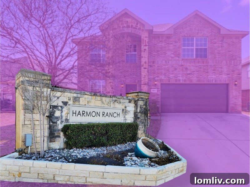 A vibrant community gathering, symbolizing the lively spirit of Harmon Ranch.