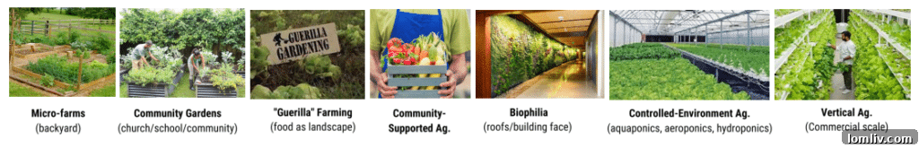 Fresh produce being harvested in an urban farm