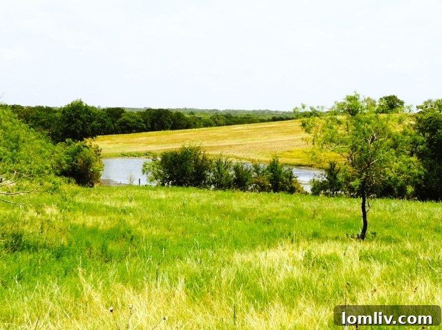 Scenic pastureland in Ellis County, Texas