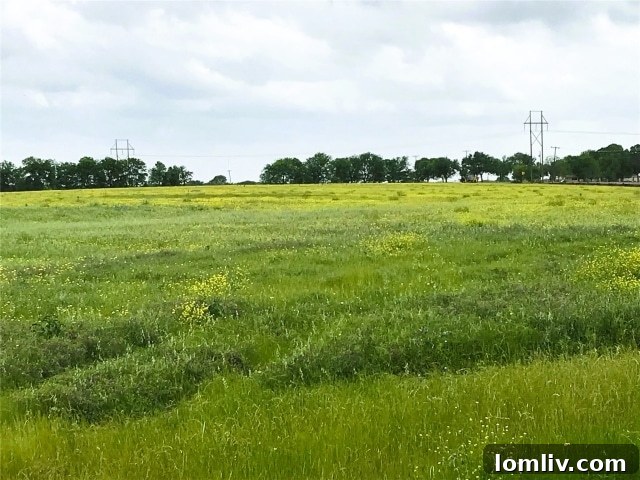 Open, flat pastures of the ranchettes in Ennis, Texas