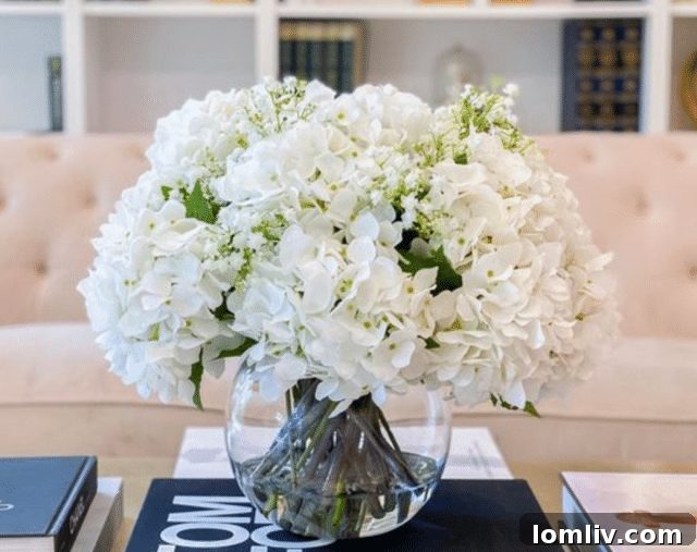 Travel-inspired home decor