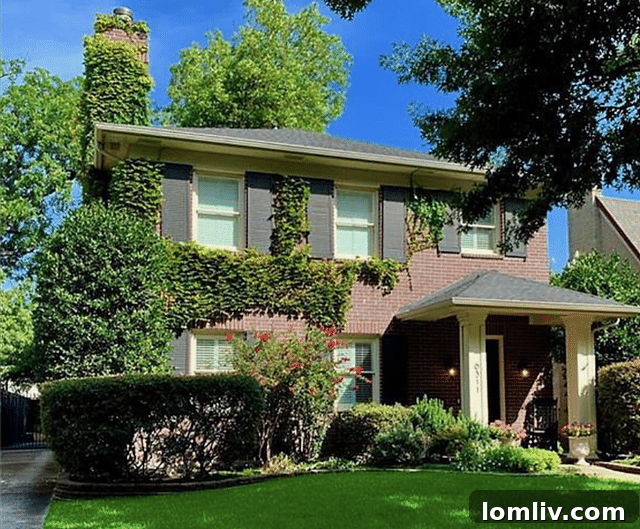 A modern home at 6311 Bryan Parkway designed to blend seamlessly with the historic Swiss Avenue district.