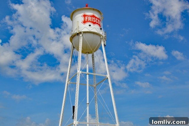 (Photo: Mimi Perez for CandyDirt.com) - A challenging land parcel requiring specialized expertise.