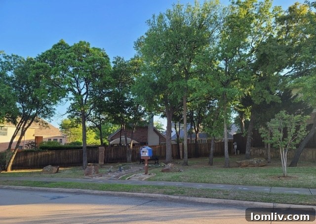 Reading Park in Bedford, Texas, a quaint community spot with a free little library, encouraging literacy and neighborhood interaction.