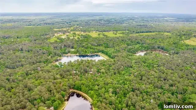 Lush Greenery and Water Access