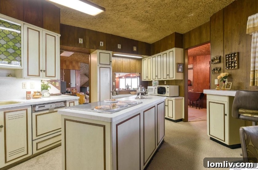 midcentury modern kitchen ceiling