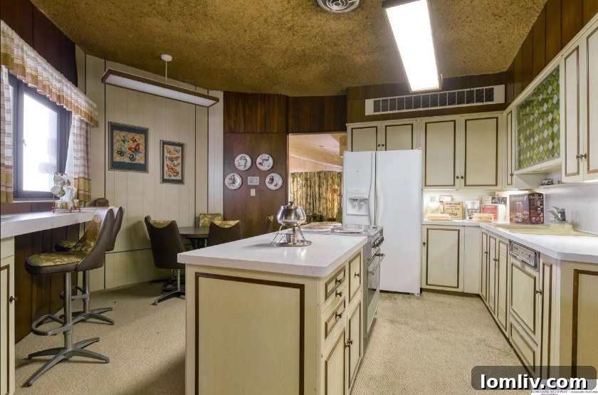 midcentury modern, wrestling, macho man, interior details