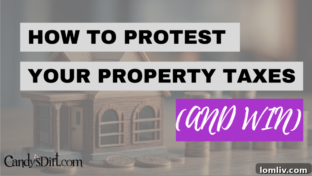 North Texans grappling with rising property taxes, seeking solutions after receiving high appraisal notices.