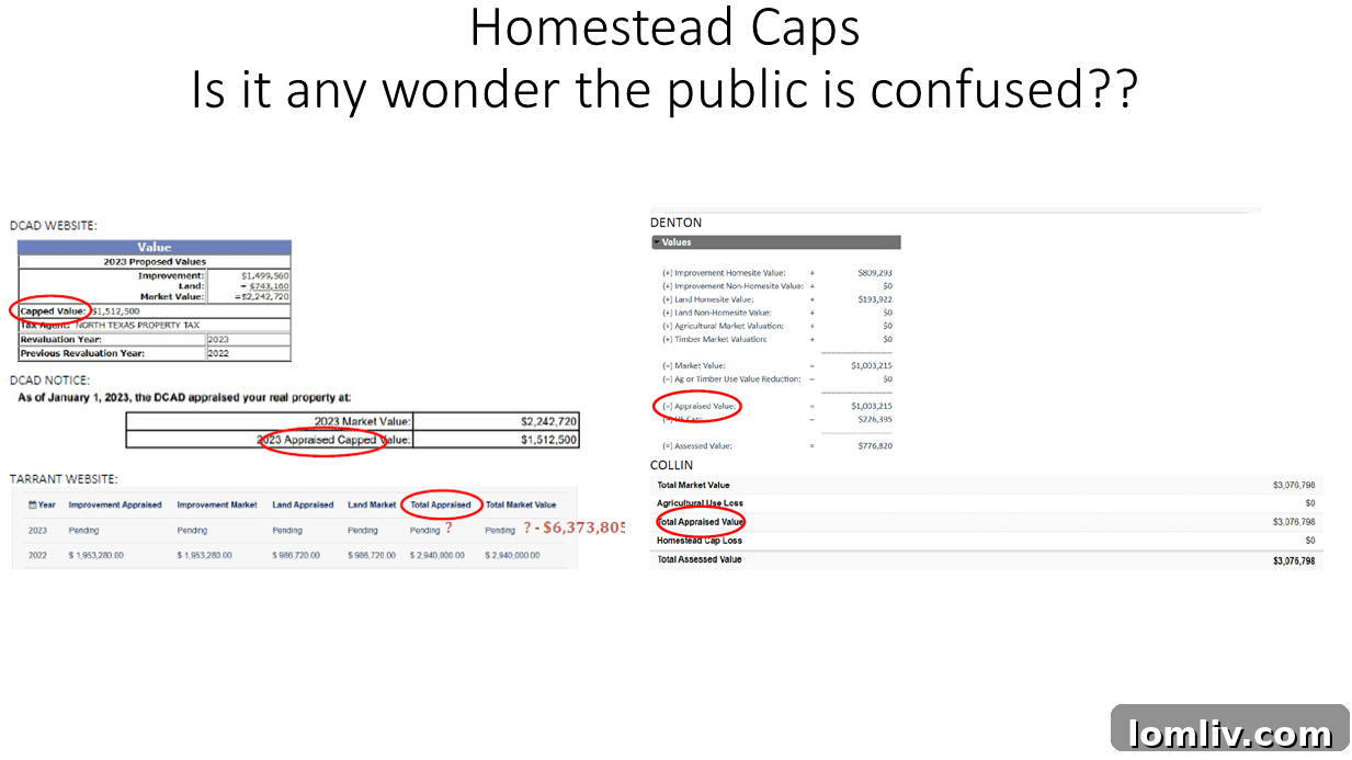 Infographic explaining the different terms used for appraised value across Texas counties.
