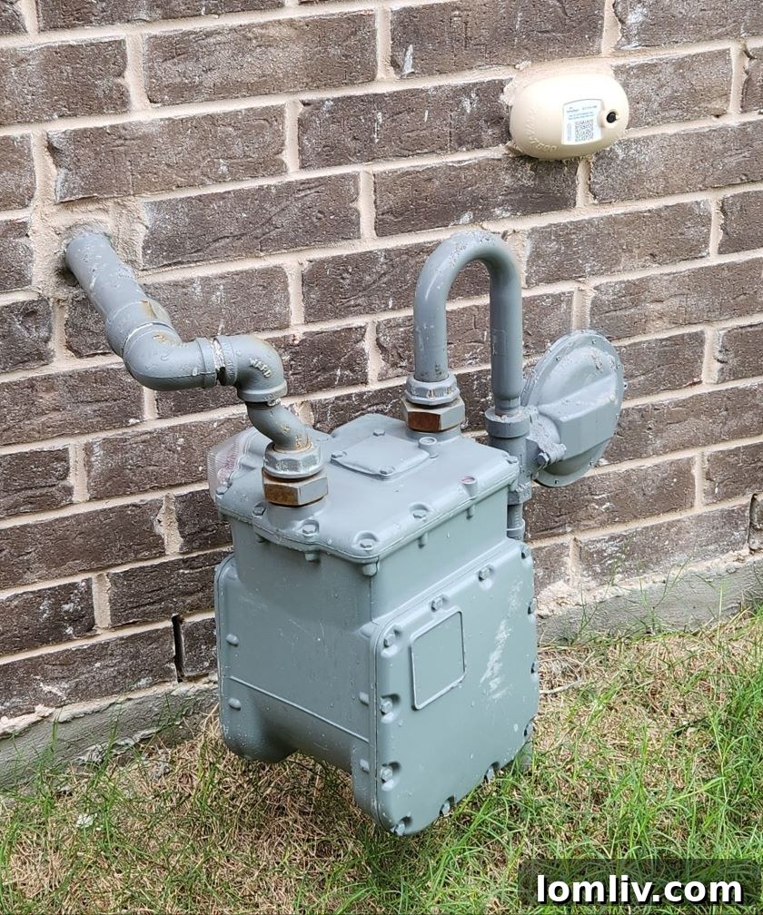 Home Inspection Humor - Shy Gas Meter