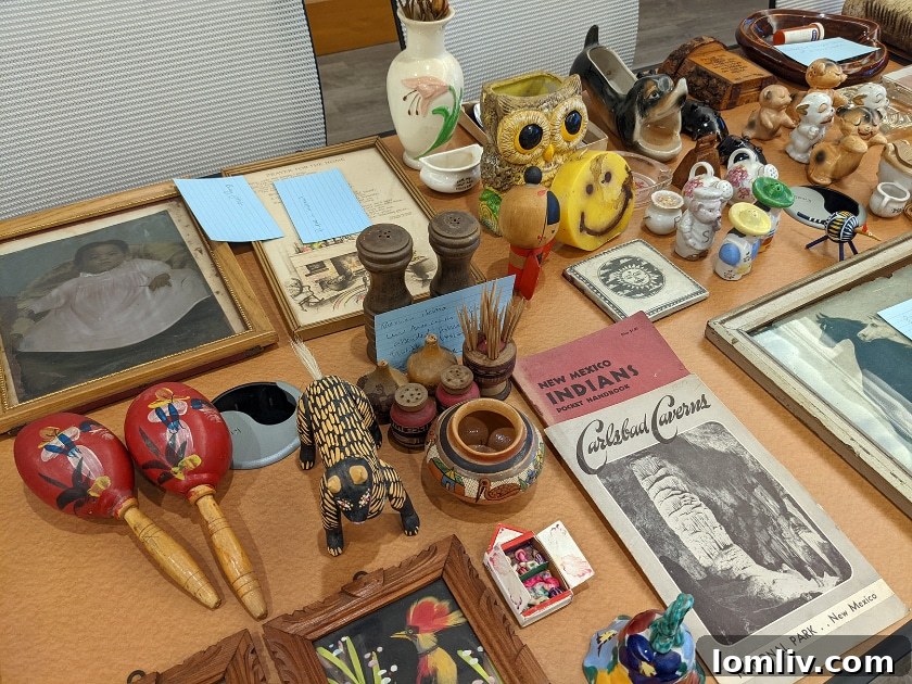 Close-up of historical documents and artifacts from the Juanita Craft Collection