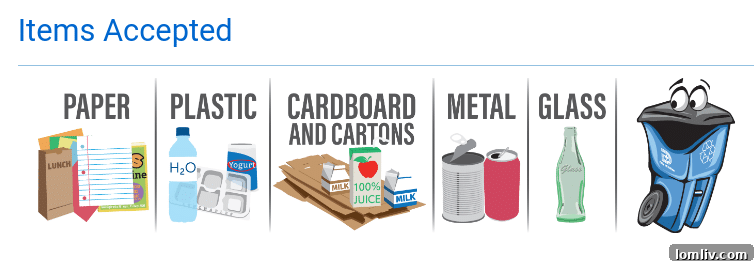Dallas Residents Puzzled as 'Take a Peek' Recycling Bins Mysteriously Vanish 6 Sanitation worker inspecting a residential recycling bin for contaminants