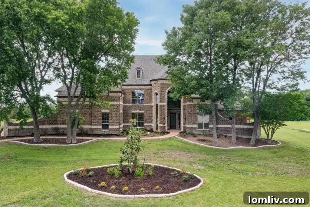 Lush green lawn with mature trees and a pergola highlighting the extensive outdoor space of a McKinney home.