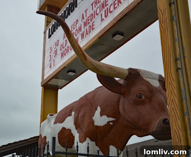 Longhorn Ballroom Reopens: A Journey Through Dallas Music History and Iconic Stage Costumes