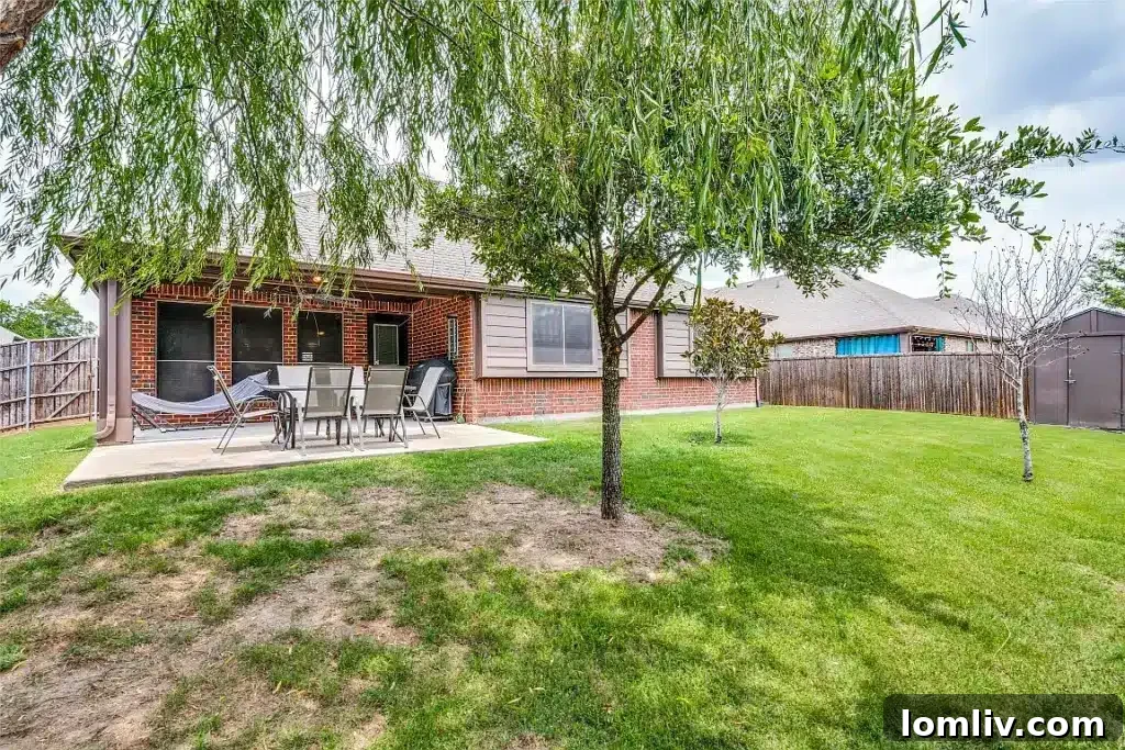 Large backyard area on a corner lot, backing to a protected nature preserve in Wylie
