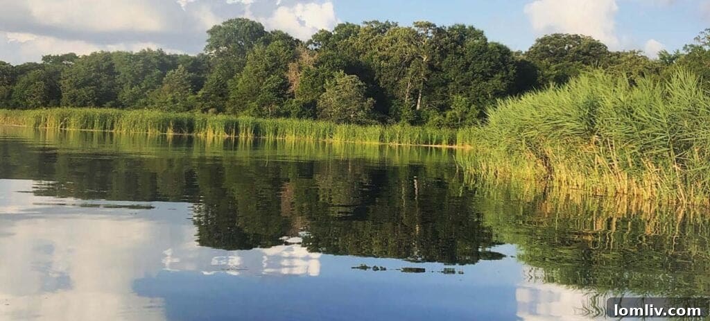 Texas Parks and Wildlife Sets Disastrous Precedent with Fairfield Lake Takeover 2 Serene image of Fairfield Lake, highlighting its natural beauty and potential for recreational activities like bass fishing.