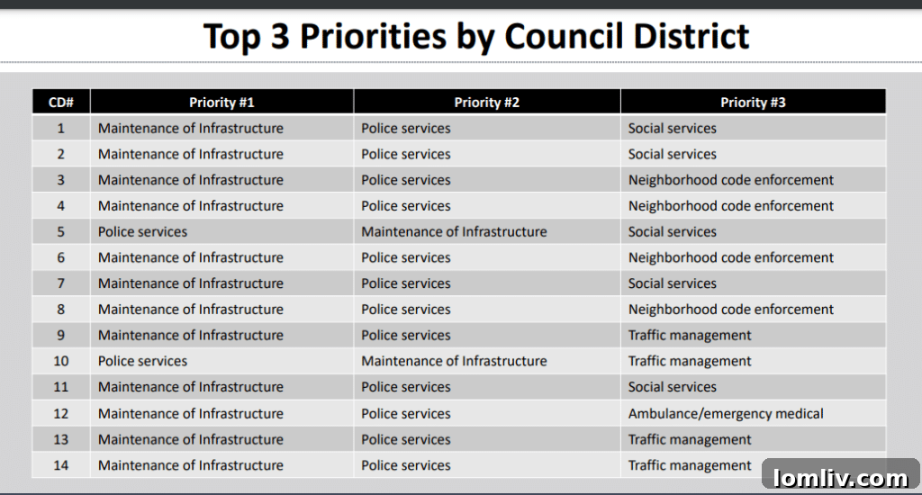 Graph showing Dallas community survey results and priorities