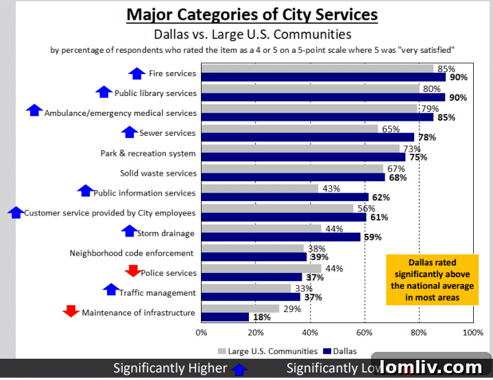 Dallas survey data on public safety concerns