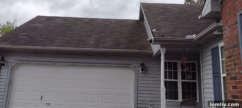 Close-up of the garage roof at 211 Remington Drive, showing its age and condition