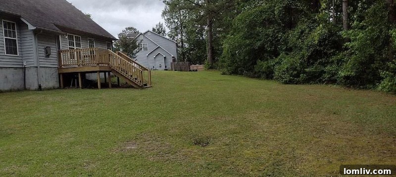 Another exterior shot of the Midway Park, NC home, highlighting its setting