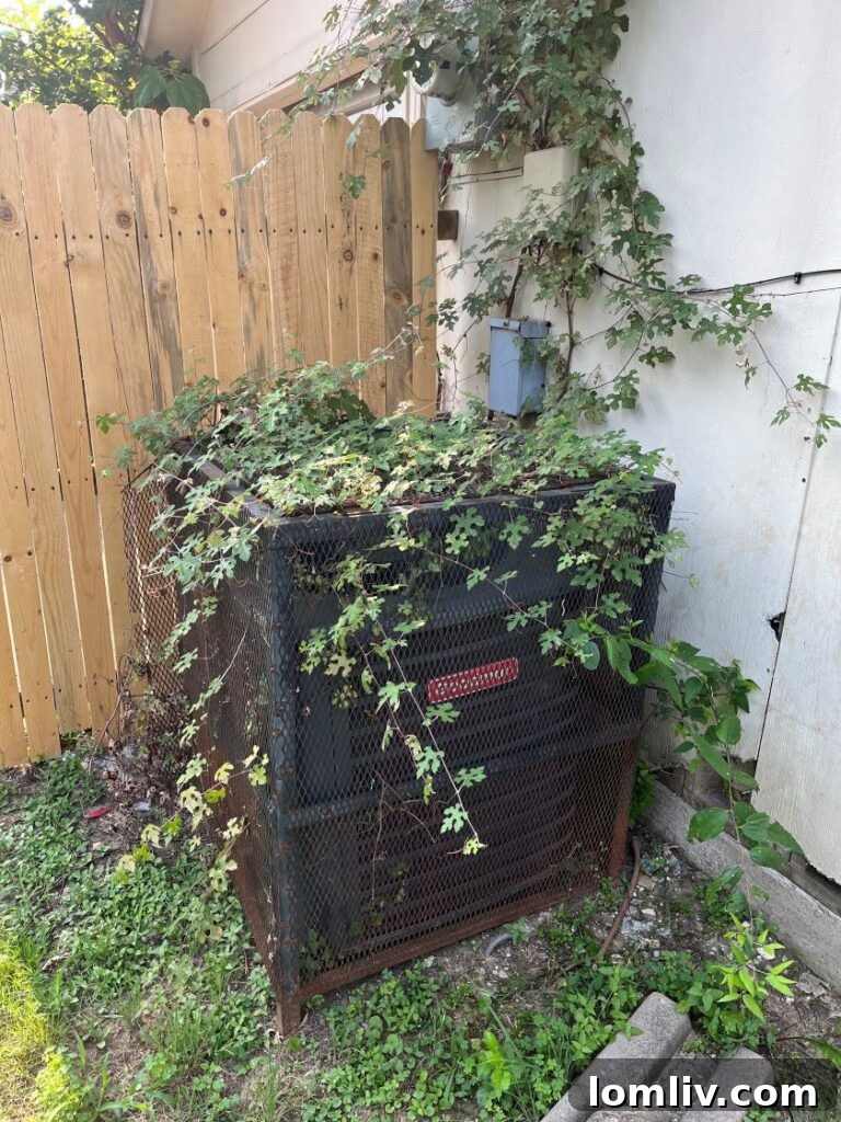 dangerous home inspection finds