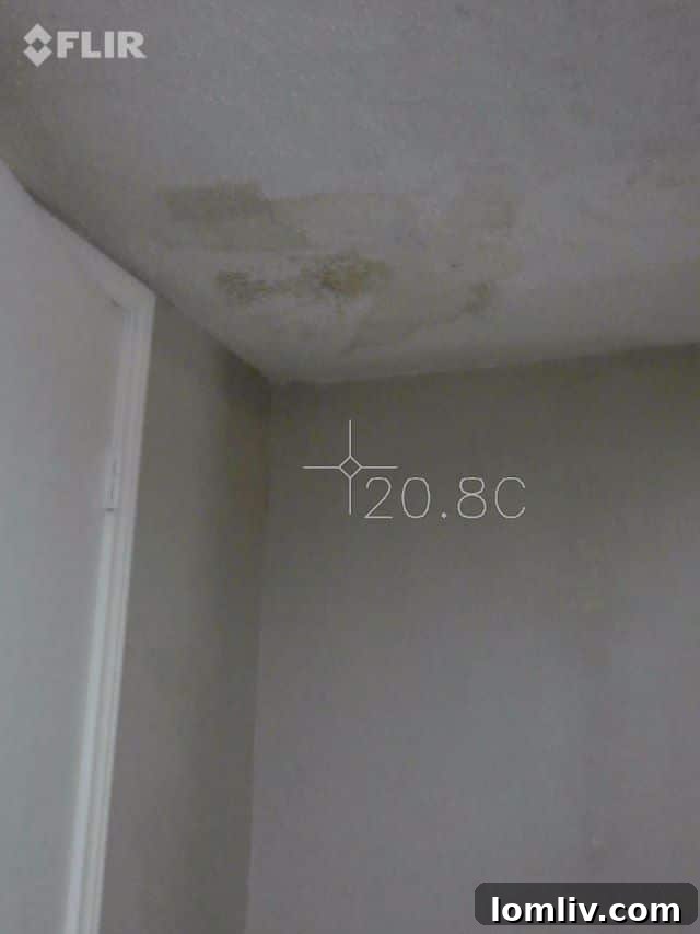 Thermal imaging reveals hidden water damage and insulation issues during home inspection