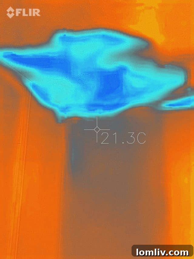 FLIR camera detecting temperature differential indicating moisture