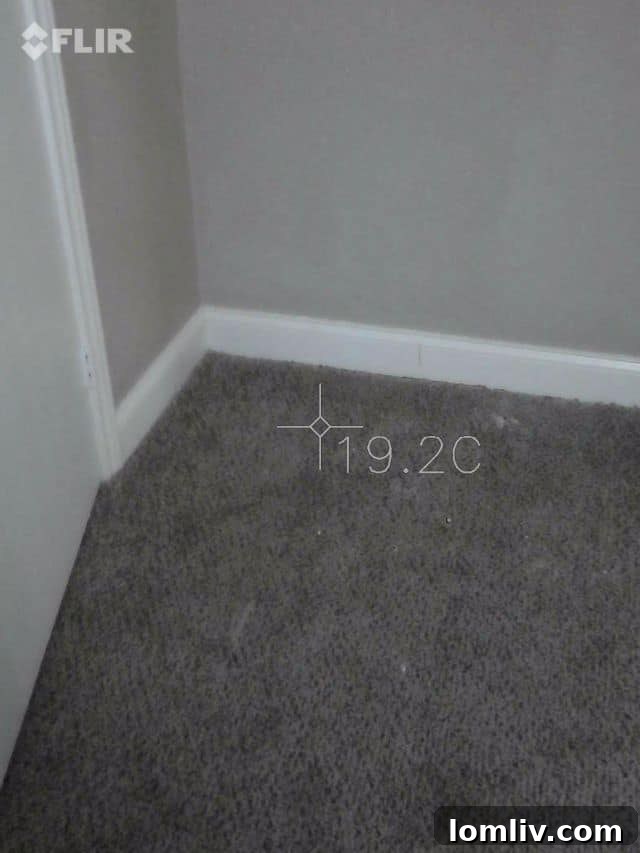 Flooring beneath water stain showing potential damage