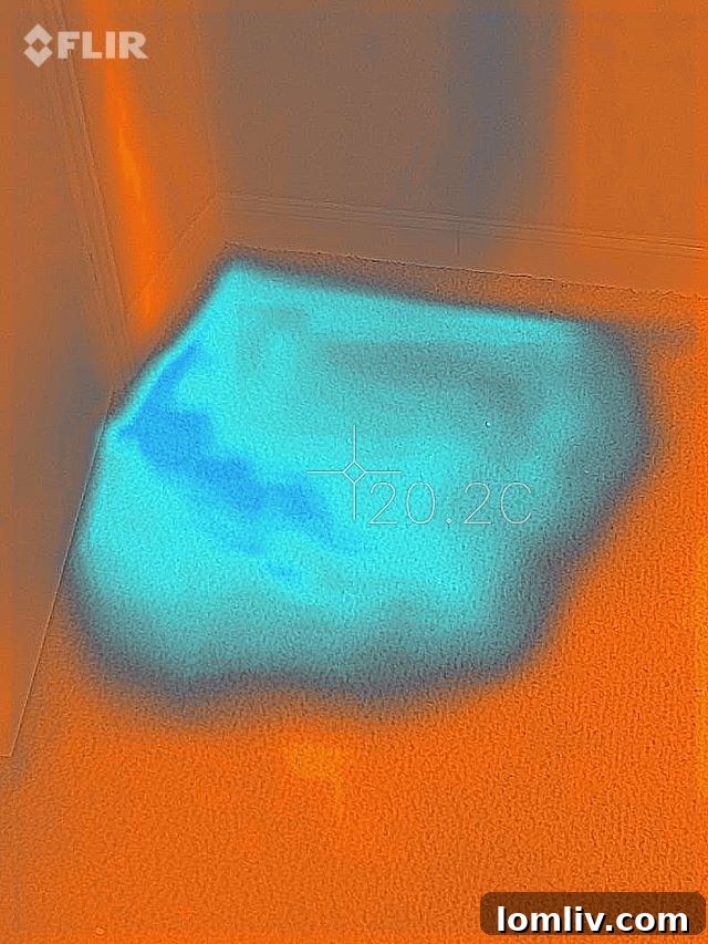 Thermal view of flooring revealing cold spots from water