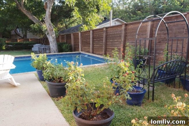 Kiltartan Drive Swimply pool with provided towels and toys.