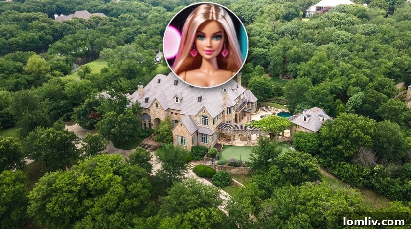Barbie's North Texas Dream House: The Top Contenders 2 barbie dream house