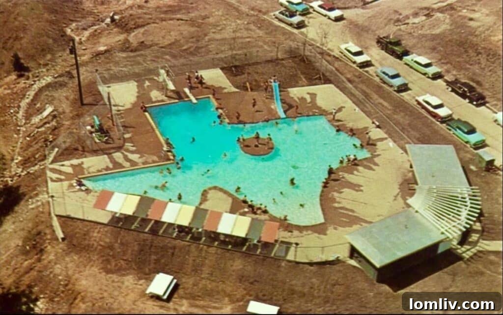 An overhead view of the historic Texas-shaped pool in Plano, Texas, surrounded by sunbathers and lush trees.