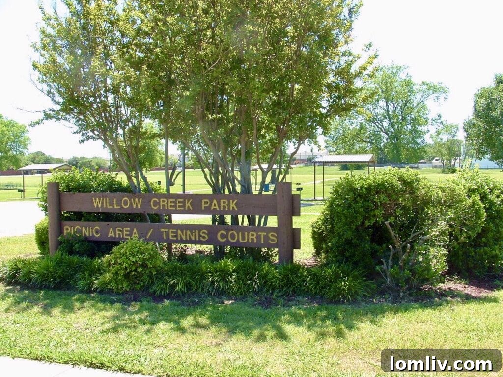 Two dogs playing in the dedicated dog park area at Willow Creek Park
