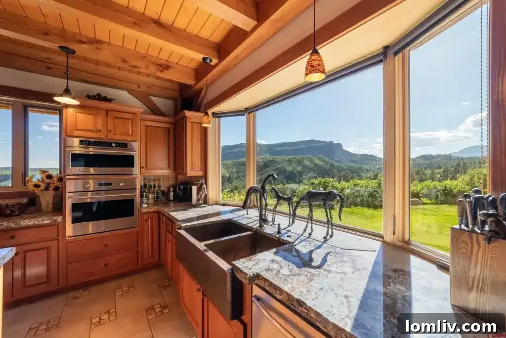 Gourmet kitchen with high-end appliances and ample counter space, offering mountain views.