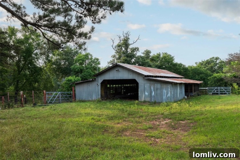 Expansive green fields and open sky on the East Texas ranch