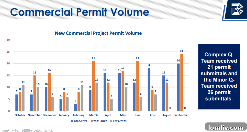 Complex flowchart illustrating commercial permit application steps in Dallas.
